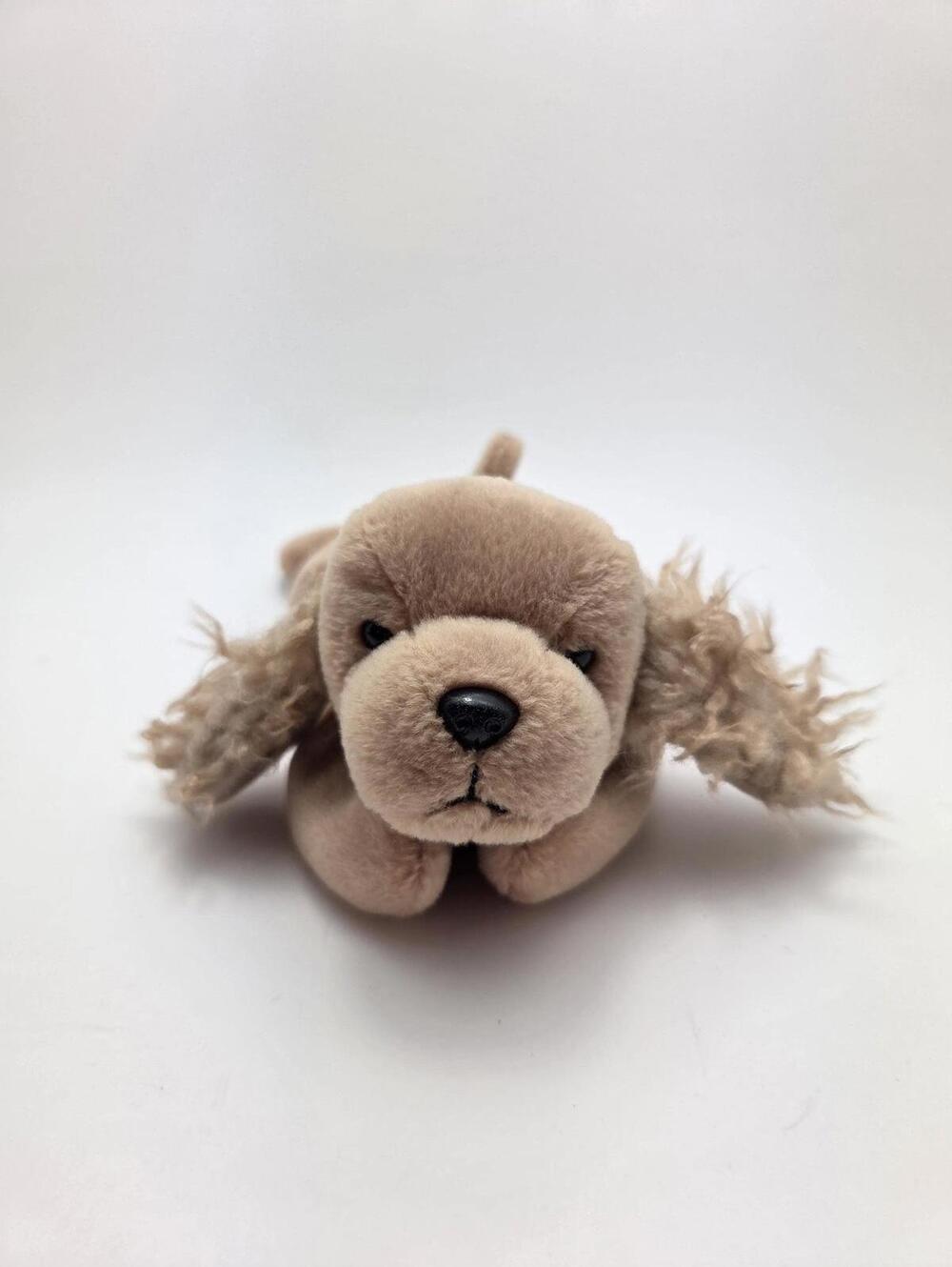 Ty Beanie Baby “Spunky” the Cocker Spaniel Dog (8 inch) No Hang Tag